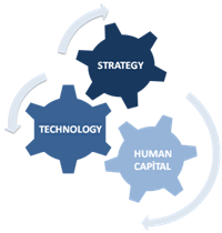 StrategyTechnologyHumanCapital